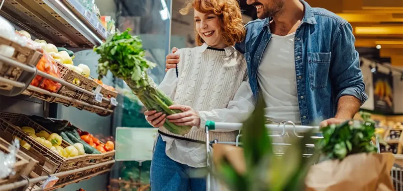 openfield blog 1 16022026